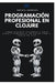 Programación profesional en Clojure: Cómo diseñar sistemas a gran escala centrados en datos con el poder de Lisp by Rafael Sanders