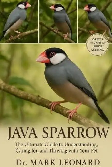 Java Sparrow: The Ultimate Guide to Understanding, Caring for, and Thriving with Your Pet by Mark Leonard