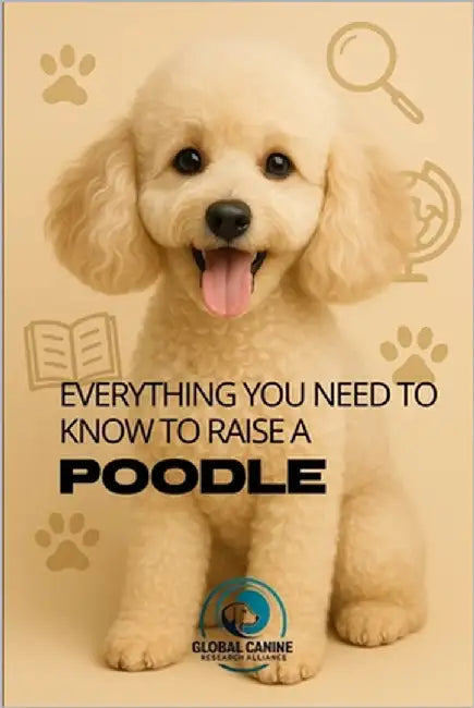 Everything You Need To Know To Raise A Poodle: History, health, breeding, and much more! by Research Alliance, Global Canine