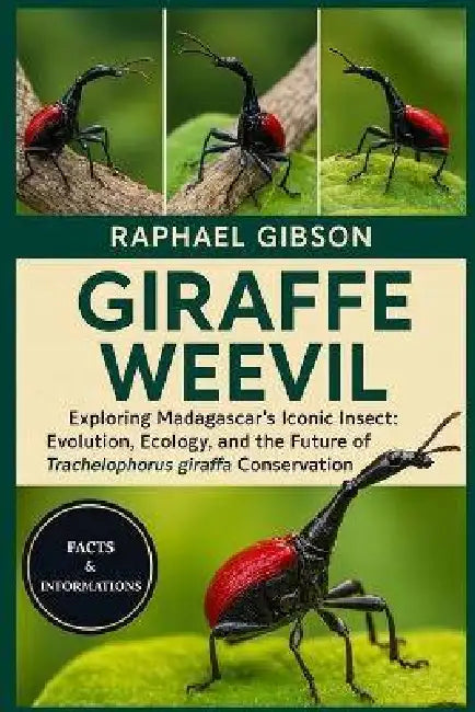 Giraffe Weevil: Exploring Madagascar's Iconic Insect: Evolution, Ecology, and the Future of Trachelophorus giraffa Conservation by Raphael Gibson