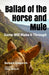 Ballad of the Horse and Mule: Some Will Make It Through by Steve Johnson, Barbara Gregorich