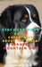 Discover your dog: Everything about the breed: Bernese Mountain Dog by A. Kennet Reyen