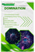 DOMination: The Definitive Guide to Manipulating the DOM and Building Interactive Web Pages with Vanilla JavaScript by Corin Halstead