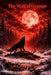 The wolf of Sweden in the village Gysinge. by Lars Ake Persson