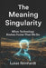 The Meaning Singularity: When Technology Evolves Faster Than We Do by Lukas Reinhardt