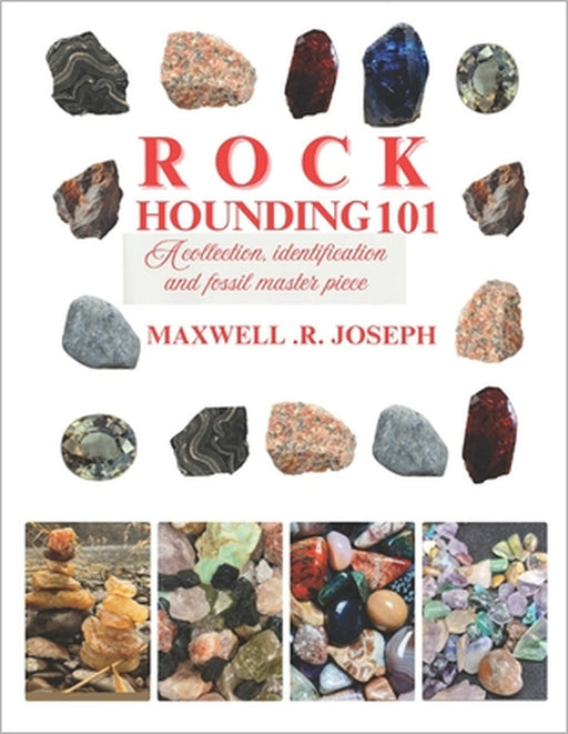 Rockhounding 101: A Collection, Identification and Fossil Masterpiece by Stella J. McCarthy