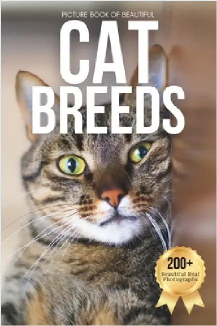 Picture Book of Beautiful Cat Breeds: Designed for Seniors Living with Memory Loss, Alzheimer's, Dementia, and Cat-Loving Families by Earthley, Owen