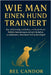 Wie Man Einen Hund Trainiert: Der vollständige Leitfaden, um Ihrem Hund Befehle beizubringen und sein Verhalten zu verbessern, ohne einen Profi zu ben by Candor, Bel