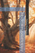 Medical Hypnotherapy by Tatiana S. Komarova