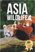 Picture Book of Majestic Asia Wildlife: A Stunning Collection of Real Animal Photography for Seniors Living with Memory Loss, Alzheimer's, or Dementia by Owen Earthley