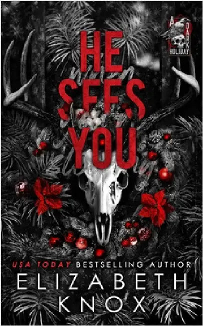 He Sees You: A Dark Christmas Romance by Tan, Clarise