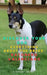 Discover your dog: Everything about the breed: Ratonero Valenciano by A. Kennet Reyen