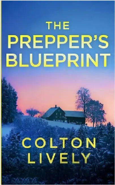 The Prepper's Blueprint: An EMP Post Apocalypse Prepper Survival Thriller by Lively, Colton