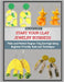 Start Your Clay Jewelry Business: Make and Market Polymer Clay Earrings Using Beginner-Friendly Tools and Techniques by Shine, Adam