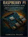 Raspberry Pi Systems Engineering Guide: A Beginner-to-Professional Handbook for Hardware Architecture, Embedded Systems, IoT, and Intelligent Computin by Neilsen, Charles R.