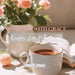 Seasoned With Grace: Recipes from Mother's Table by Connie M. Stegall