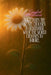 Crooked WildFlowers: Sometimes the heart chooses to remember what the world chooses to ignore. by Ma Isabel Benitez, Bellas House of Publishing