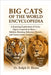 Big Cats of the World Encyclopedia: A Stunning Exploration of Lions, Tigers, Leopards & More - Habitat, Hunting, Behavior, Threats, and Conservation I by D. Moore, Raph