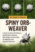 Spiny Orb-Weaver: A Guide to Spiny Orb-Weavers - Identification, Behavior, Web Design, and Fun Facts for Beginners and Backyard Observers by D. Moore, Raph