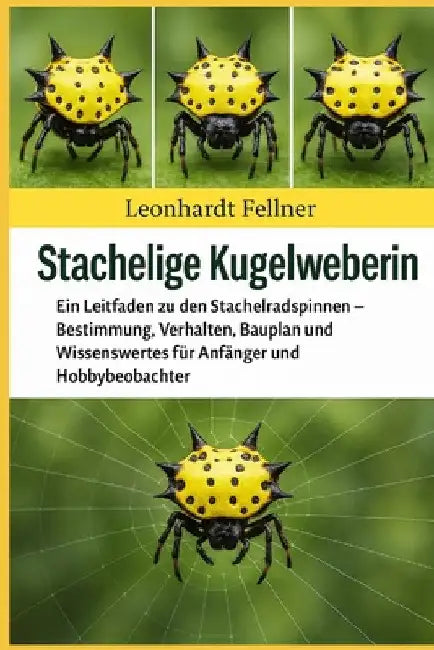 Stachelige Kugelweberin: Ein Leitfaden zu den Stachelradspinnen - Bestimmung, Verhalten, Bauplan und Wissenswertes für Anfänger und Hobbybeobachter by Leonhardt Fellner