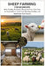 Sheep Farming for Beginners: Raise Healthy, Productive Sheep with Ease: Your Step-by-Step Guide to Flock Care, Breeding, Feeding, and Small-Scale Farm by Beverly Deanna