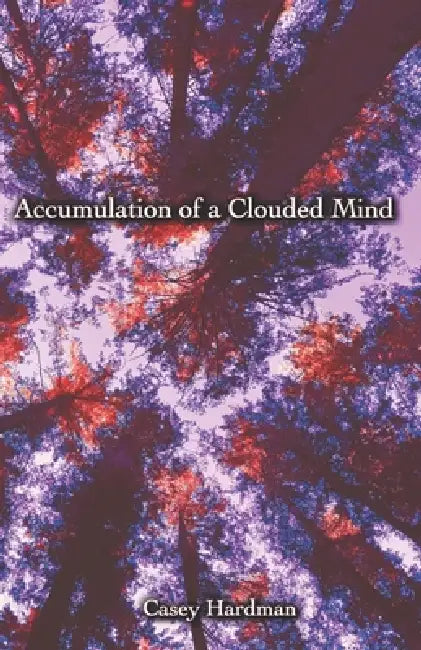 Accumulation of a Clouded Mind by Casey Hardman