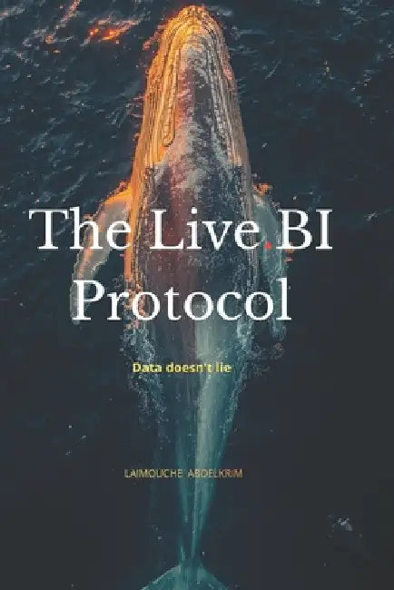 The Live.BI Protocol by Abdelkrim Laimouche