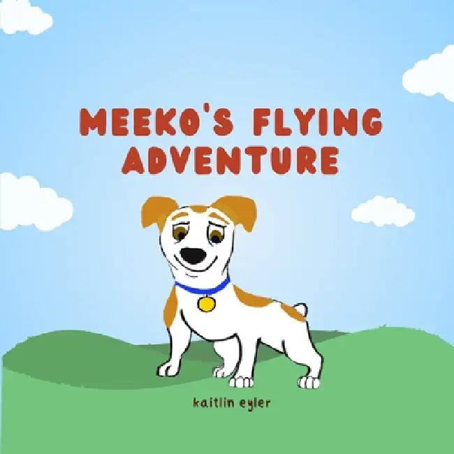 Meekos Flying Adventure
