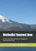 Methodist Renewal Now: A Call to Plant New Churches and Reignite the Wesleyan Movement by Jean Claude Masuka Maleka