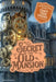 Young Detectives Agency - The Secret of the Old Mansion: Power to choose your own story. You say which way things unfold. 28 possible endings. by Sasha Sutormin