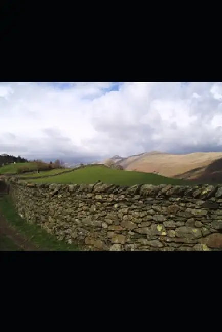 Brackendale by Anthony Smales