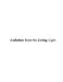 Lullabies of Living Light: (Best if read under Black Light) by Ara Iam, Trent James Suing