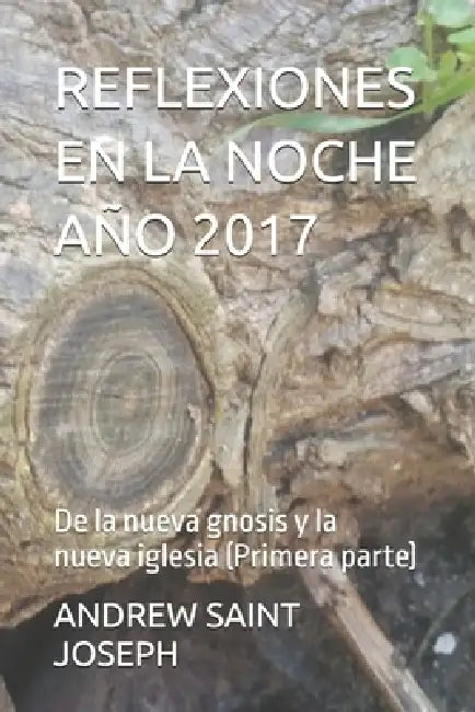 Reflexiones En La Noche - Año 2017: De la nueva gnosis y la nueva iglesia (Primera parte) by Andrew Saint Joseph