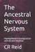 The Ancestral Nervous System: Healing Modern Dysregulation with Ancient Rhythms by Cr Reid
