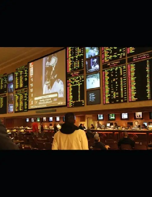 All In: How Gambling Culture Replaced the American Dream by Artificial Intelligence