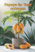 Papaya im Topf anbauen: Eine vollständige Schritt-für-Schritt-Anleitung zum Anbau von Papayas für Haus und Wohnung: von der Pflanzung bis zur Ernte (F by Svitana