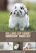 Holland Lop Rabbit Ownership Made Easy: The Complete Handbook For Training, Bonding, Grooming and Raising a Happy And Healthy Pet by Cesar Ronald