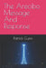 The Arecibo Message And Response by Patrick Gunn