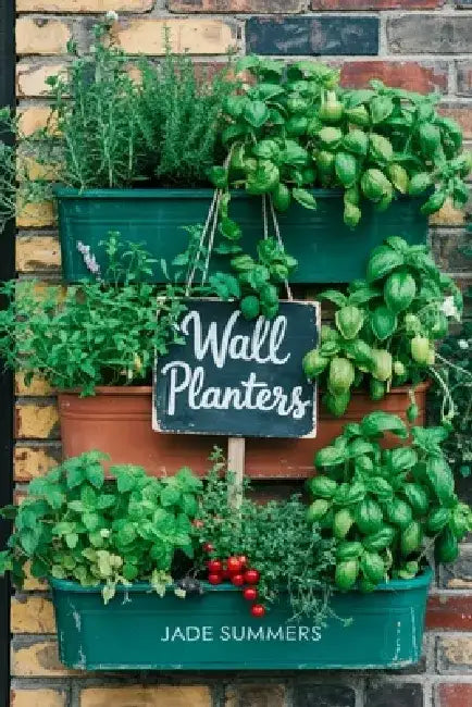 Wall Planters by Jade Summers