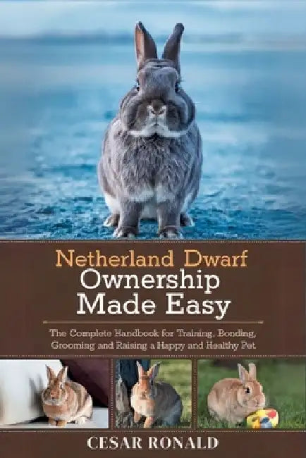 Netherland Dwarf Rabbit Ownership Made Easy: The Complete Handbook For Training, Bonding, Grooming and Raising a Happy And Healthy Pet by Cesar Ronald