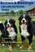 Berners & Blessings: Life with the Gentle Giants: Cherished Memories of our Bernese Mountain Dogs by Robert M. Gullberg