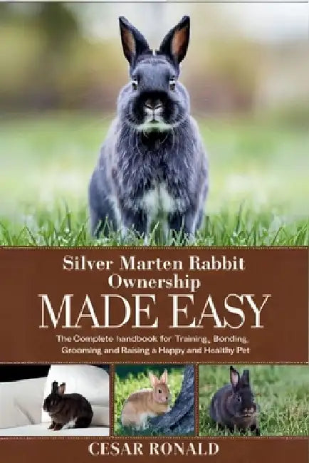 Silver Marten Rabbit Ownership Made Easy: The Complete Handbook For Training, Bonding, Grooming and Raising a Happy And Healthy Pet by Cesar Ronald