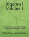 Algebra I Volume 1: Fondamenti della Teoria degli Insiemi e dei Numeri Interi by Luque Zevallos, Helbert Justo