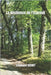 La Résilience de l'Ecureuil by Guenot, Stéphanie