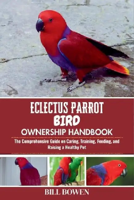 Eclectus Parrot Bird Ownership Handbook: The Comprehensive Guide on Caring, Training, Feeding, and Raising a Healthy Pet by Bill Bowen