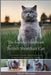 The Essential Handbook for British Shorthair Cat: The Complete Handbook For Beginners And Seniors British Shorthair cat owners by David Sharman