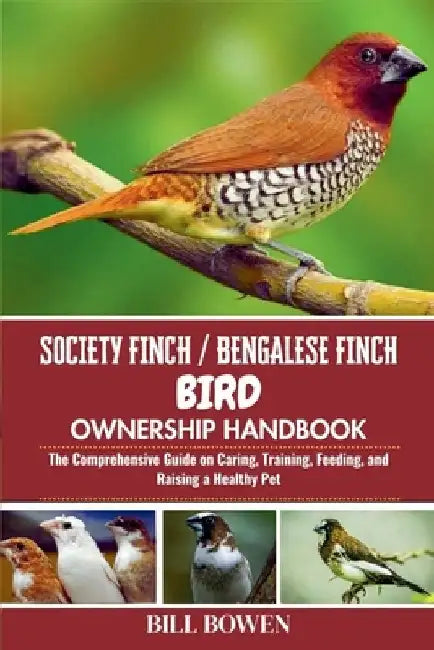 Society Finch / Bengalese Finch Bird Ownership Handbook: The Comprehensive Guide on Caring, Training, Feeding, and Raising a Healthy Pet by Bill Bowen