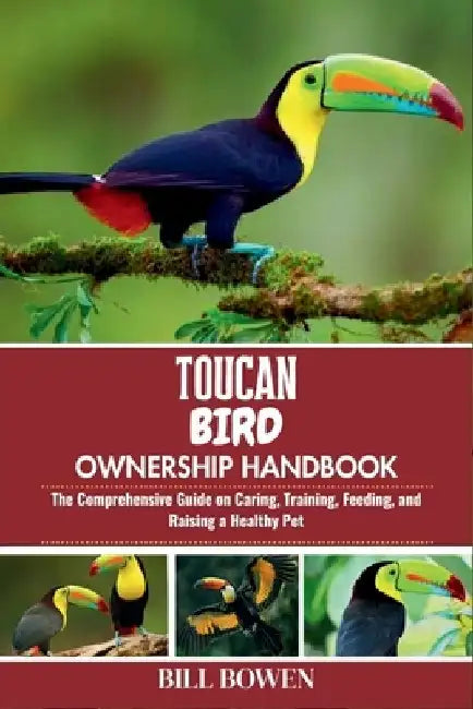 Toucan Bird Ownership Handbook: The Comprehensive Guide on Caring, Training, Feeding, and Raising a Healthy Pet by Bill Bowen