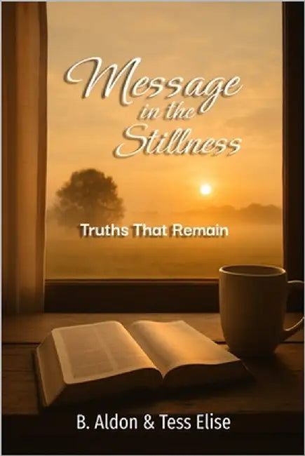 Message in the Stillness: Truths That Remain by Elise, Tess