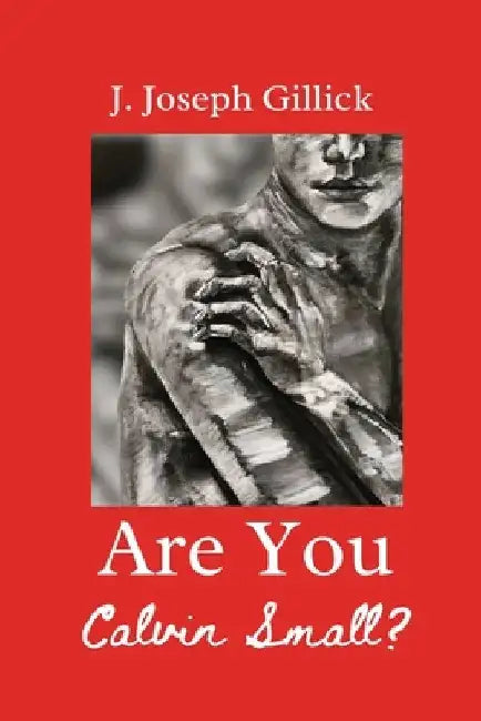 Are You Calvin Small?: A YA LGBT Romance by J. Joseph Gillick
